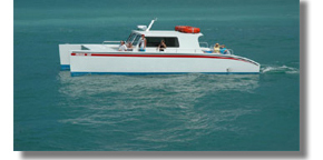 Key West Sunny Days Catamarans Dry Tortugas Florida Reef Express
