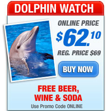 key west dolphin tours