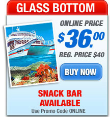 key west glass bottom boat