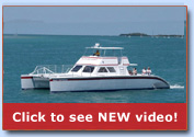 Key West Sunny Days Catamarans Dry Tortugas Florida Reef Express