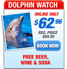 key west dolphin tours