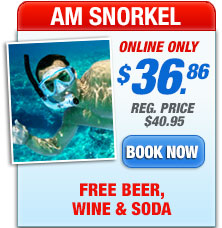 key west snorkeling trips