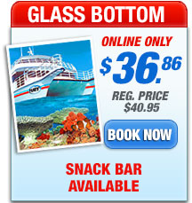 key west glass bottom boat